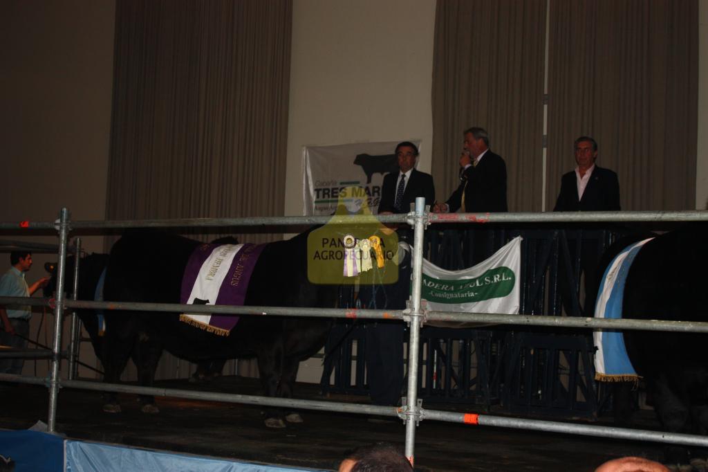 Ganadería de Prestigio en el Mundo