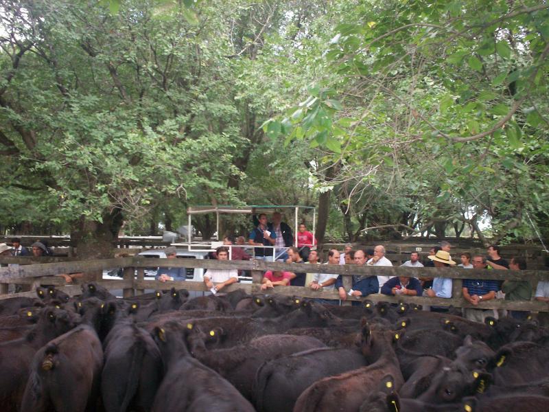 Casa Lago S.A.
