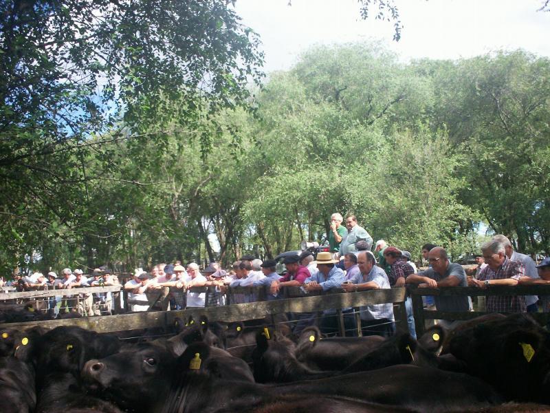 Ricardo Peiretti SA.