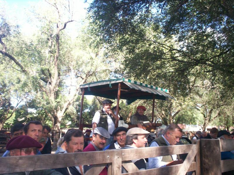 Sivero y Cía S.A.