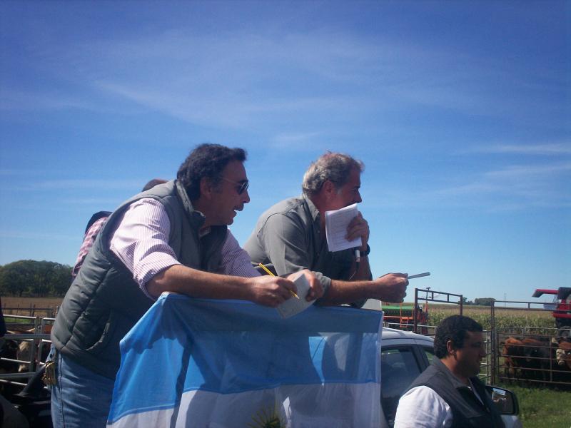 Néstor I. Goenaga y Cía y Ganadera Azul S.R.L.