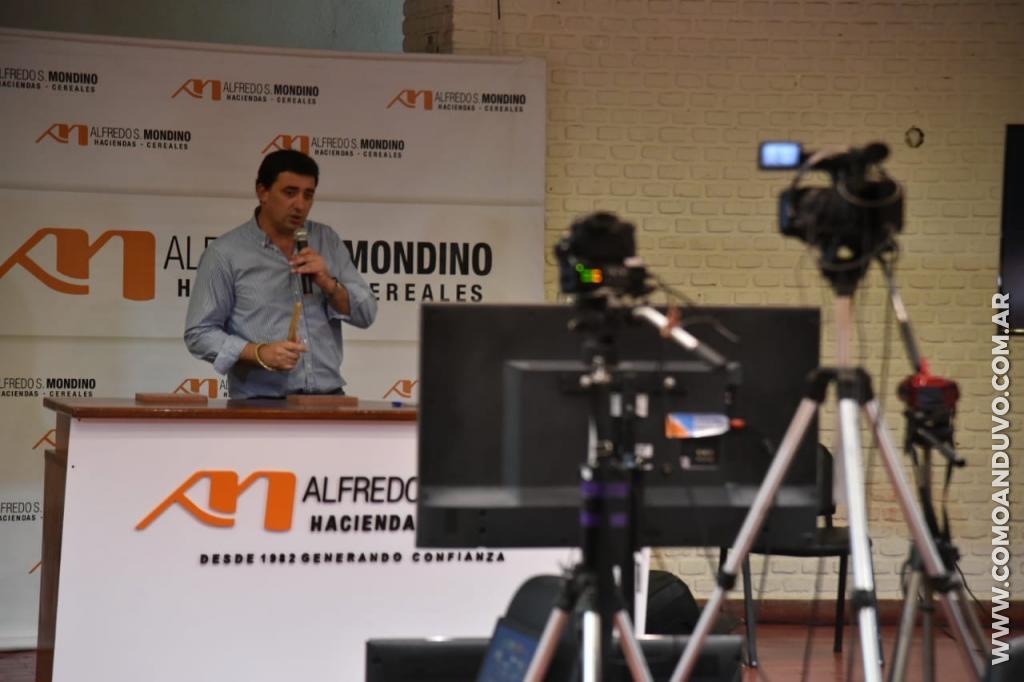 Alfredo S. Mondino