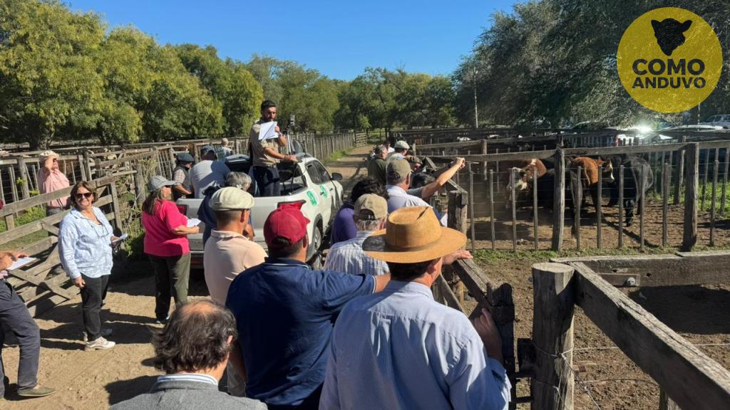 Arzoz y Cía - Suc de Brivio