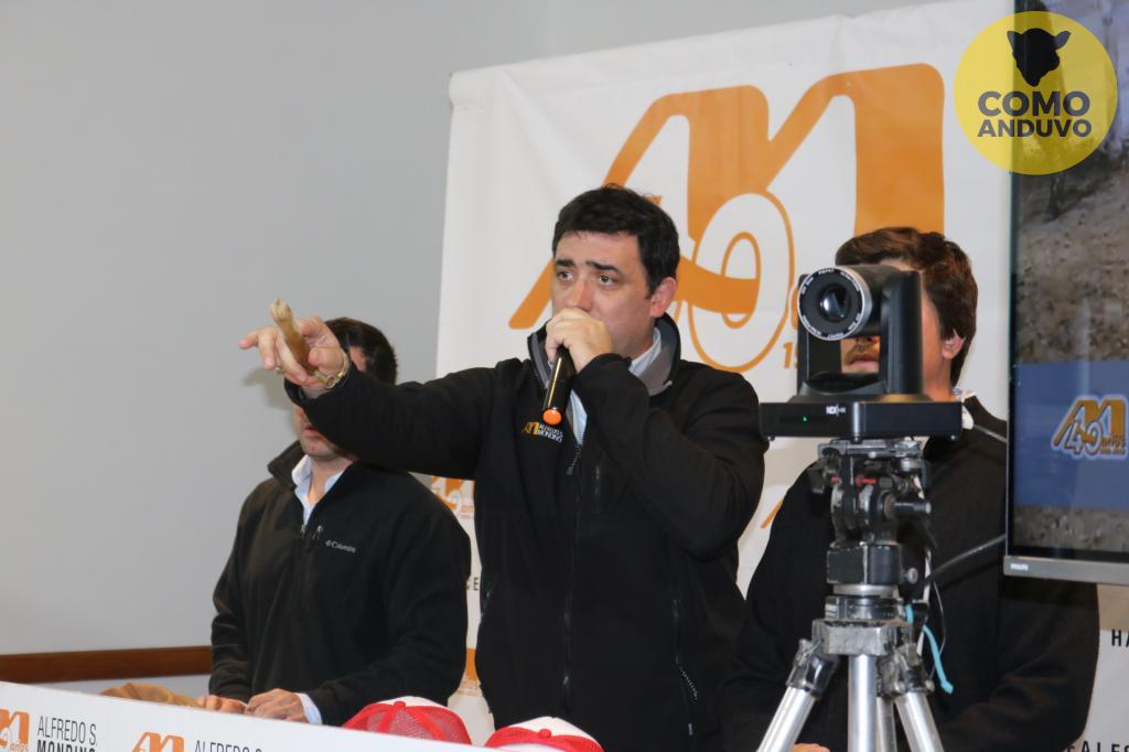 Alfredo S. Mondino