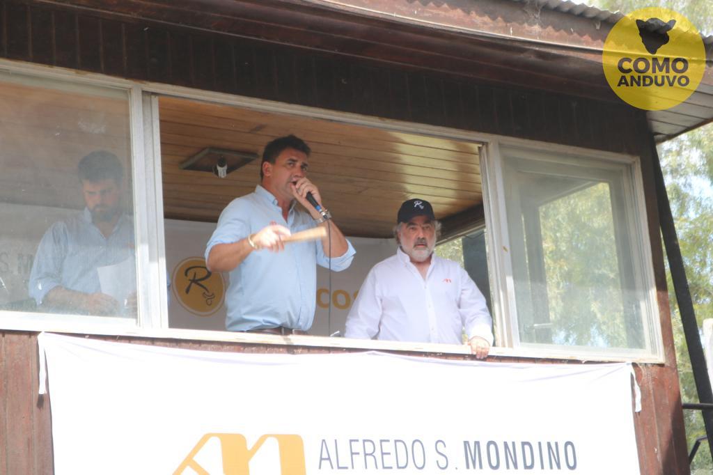 Alfredo S. Mondino