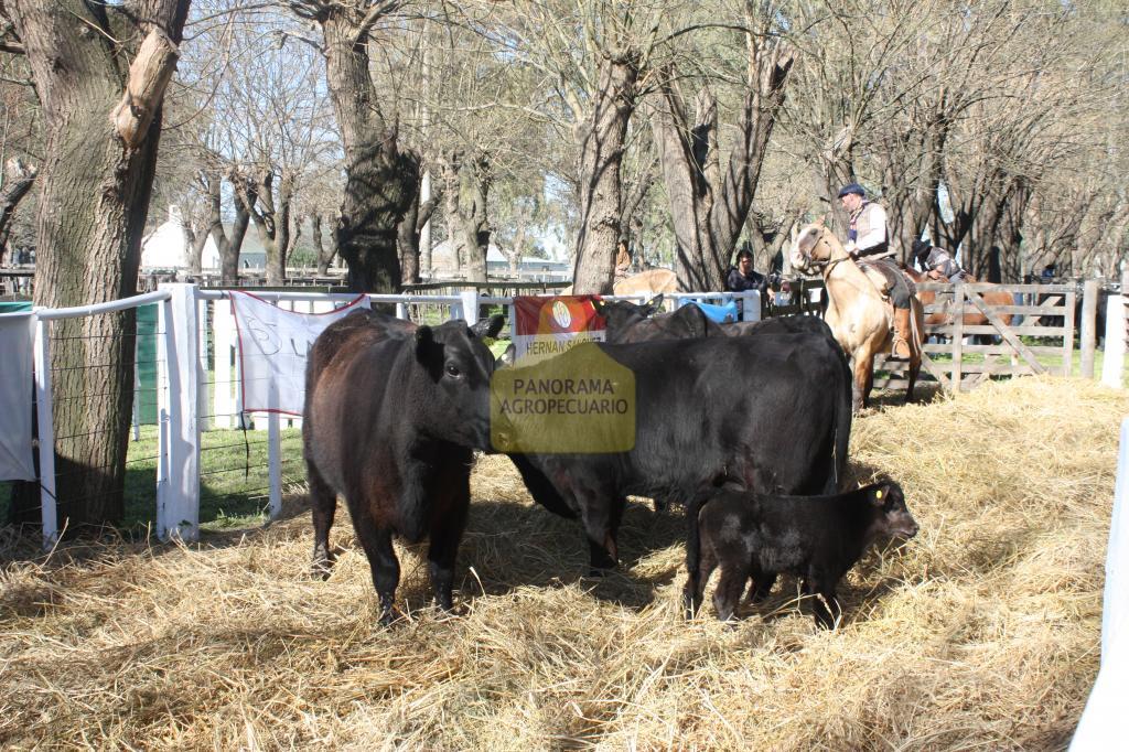 El Rodeo y La Pastoriza