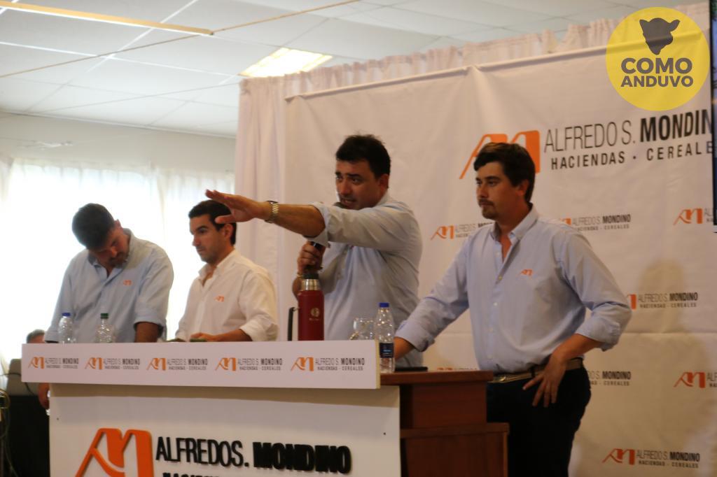 Alfredo S. Mondino