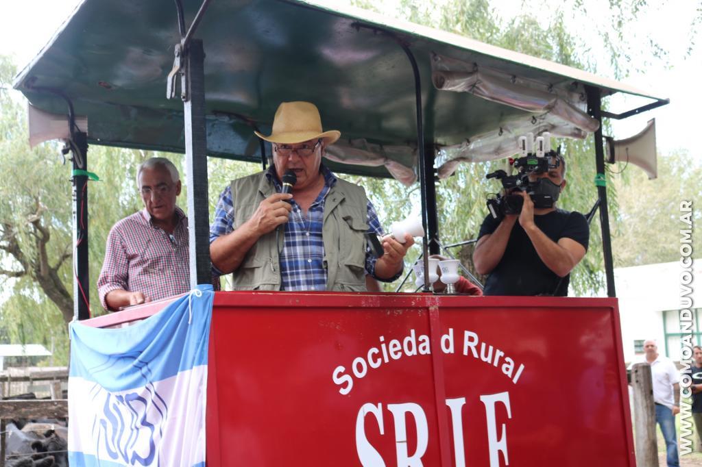 Sáenz Valiente, Bullrich y Cía. 
