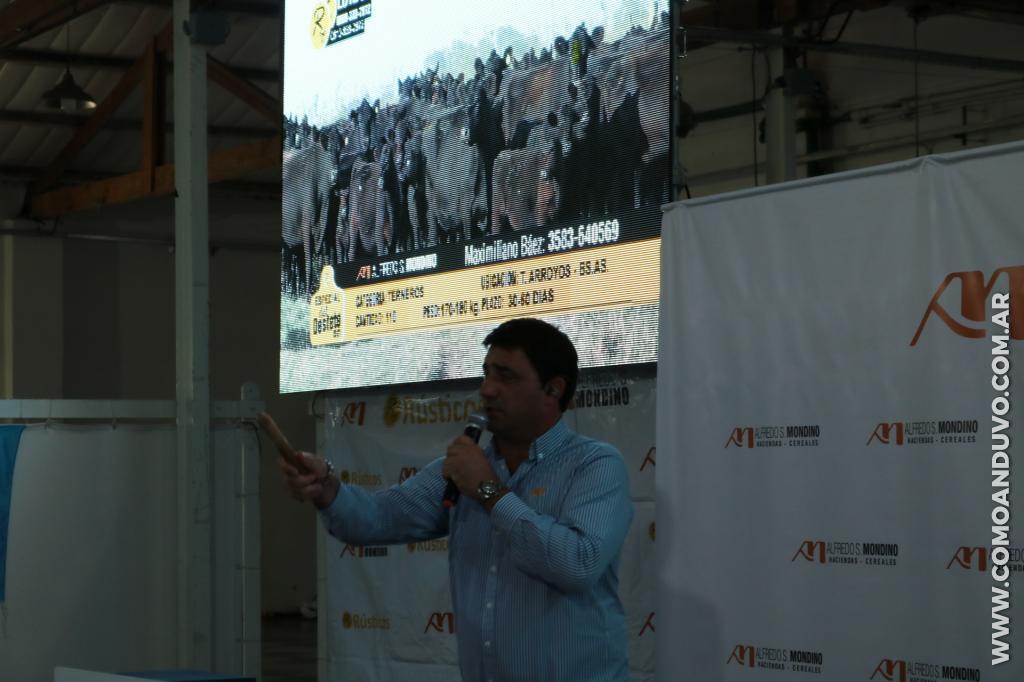 Alfredo S. Mondino