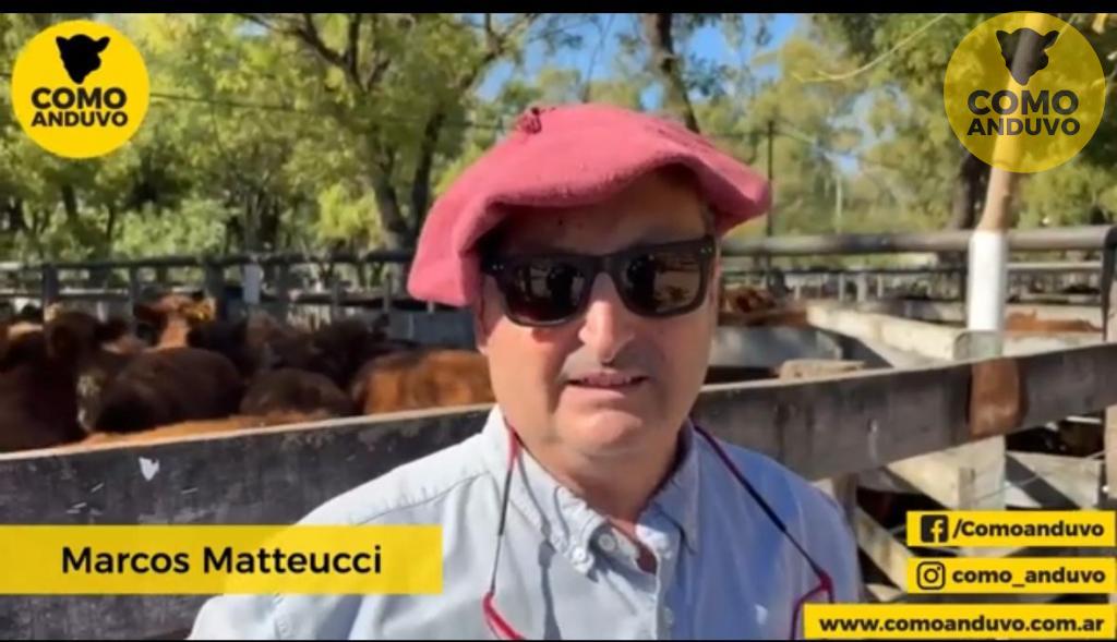 Marcos Matteucci Consignataria SRL