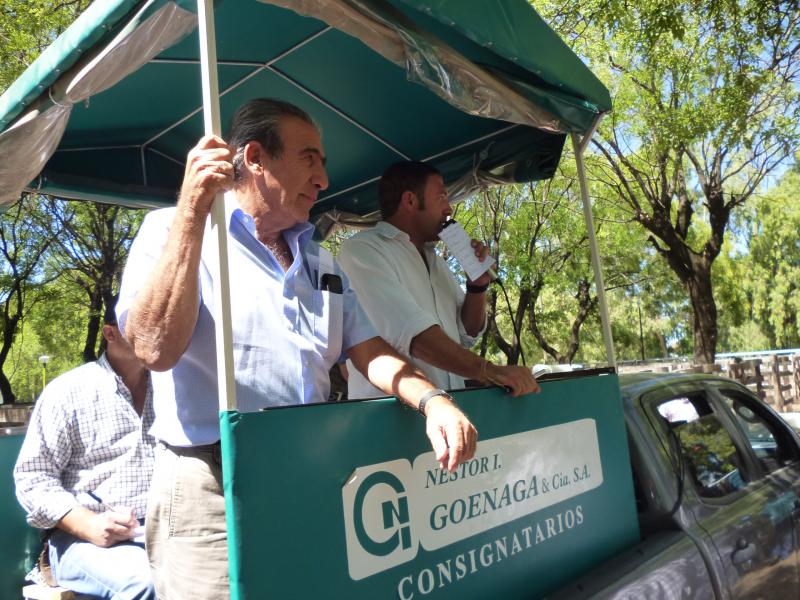 Néstor I. Goenaga y Cía 