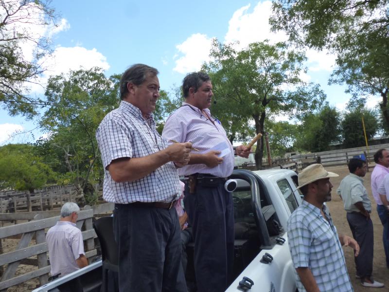 Adolfo S. Koerner y Cía