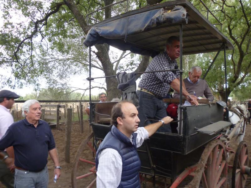 Hugo R. Arístegui y Cía