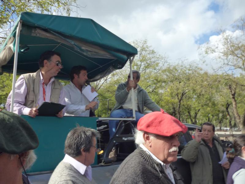 Néstor I. Goenaga y Cía y Ganadera Azul S.R.L.
