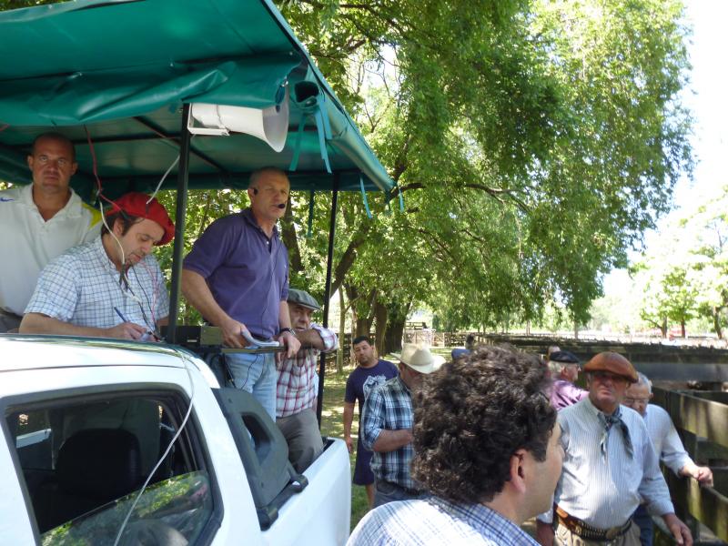 Sivero y Cía S.A.