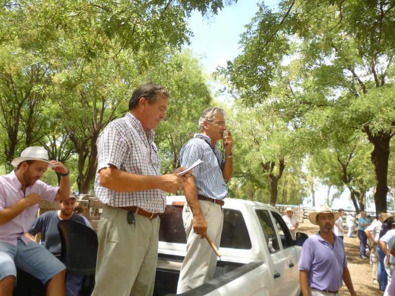 Adolfo S. Koerner y Cía