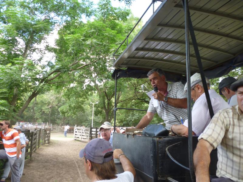 Hugo R. Arístegui y Cía