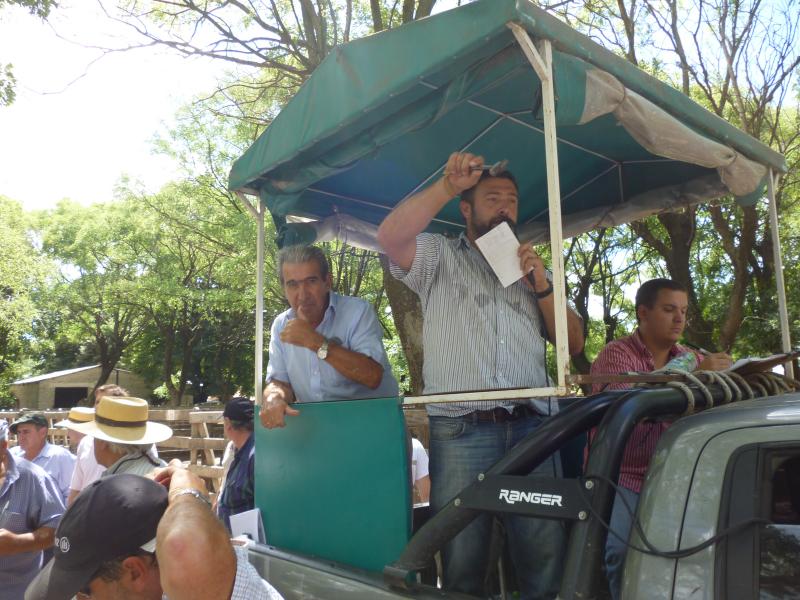 Néstor I. Goenaga y Cía 