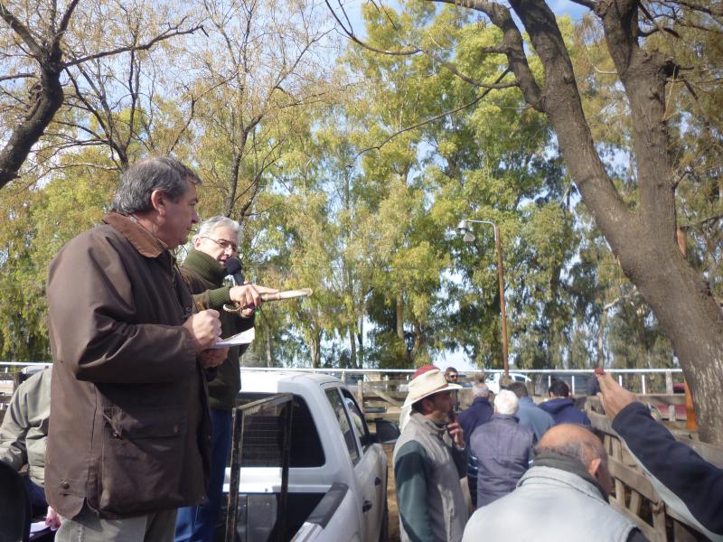 Adolfo S. Koerner y Cía