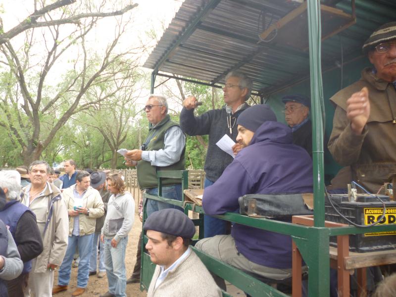 Hourcade, Albelo y Cía