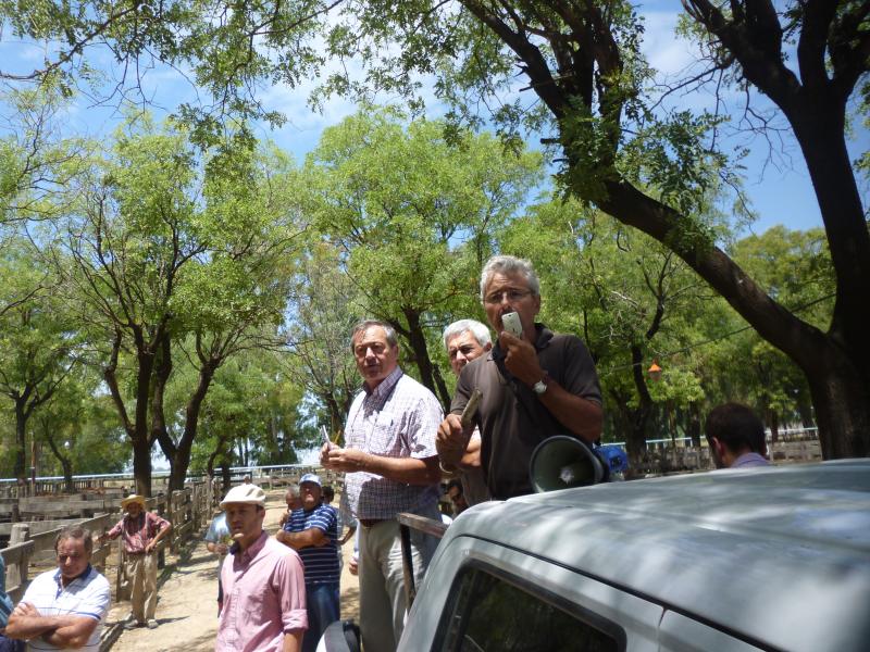 Adolfo S. Koerner y Cía