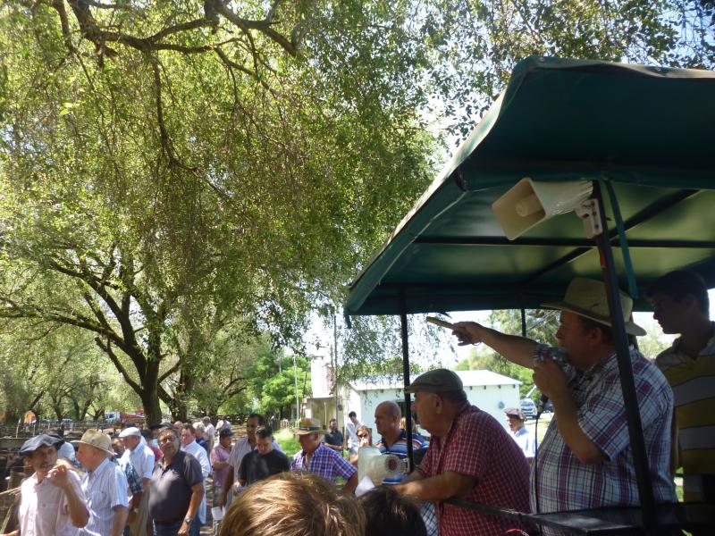 Sivero y Cía S.A.