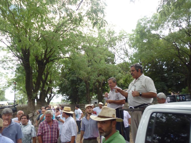 Adolfo S. Koerner y Cía