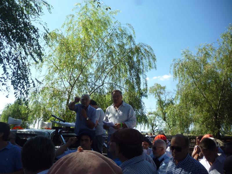Sáenz Valiente, Bullrich y Cía. 