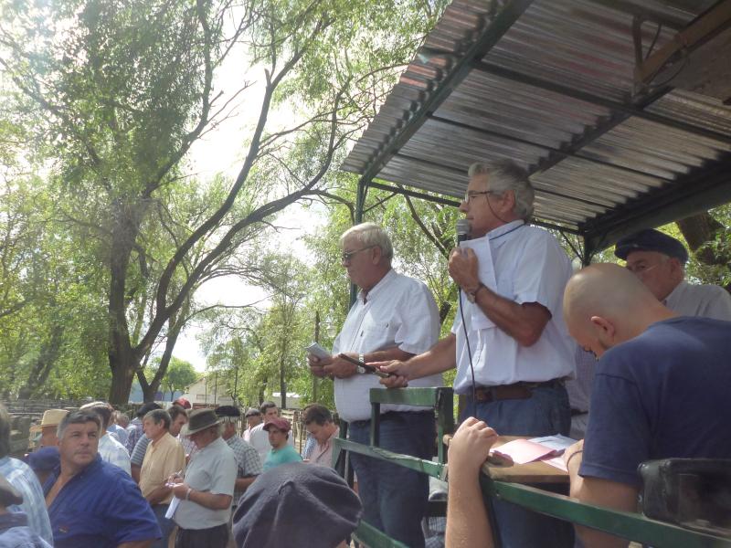 Hourcade, Albelo y Cía