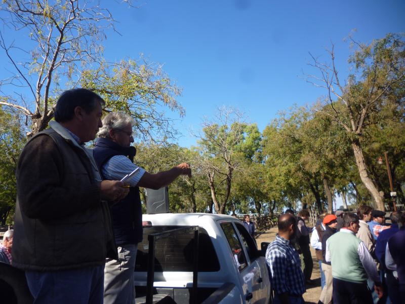 Adolfo S. Koerner y Cía