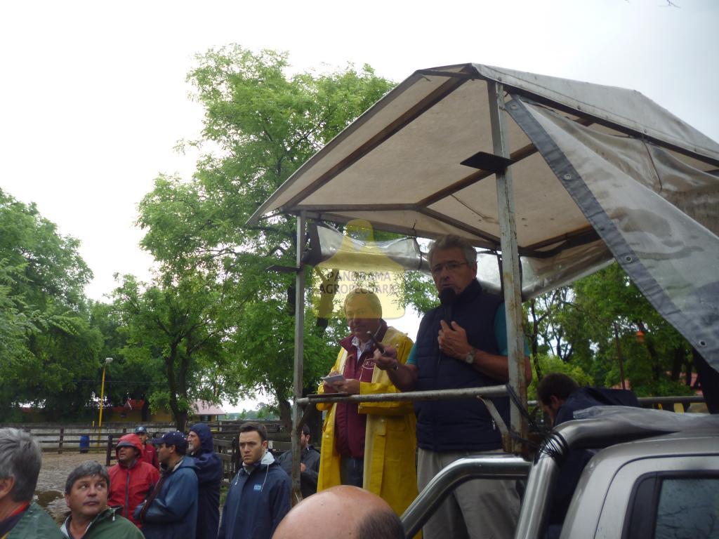 Adolfo S. Koerner y Cía