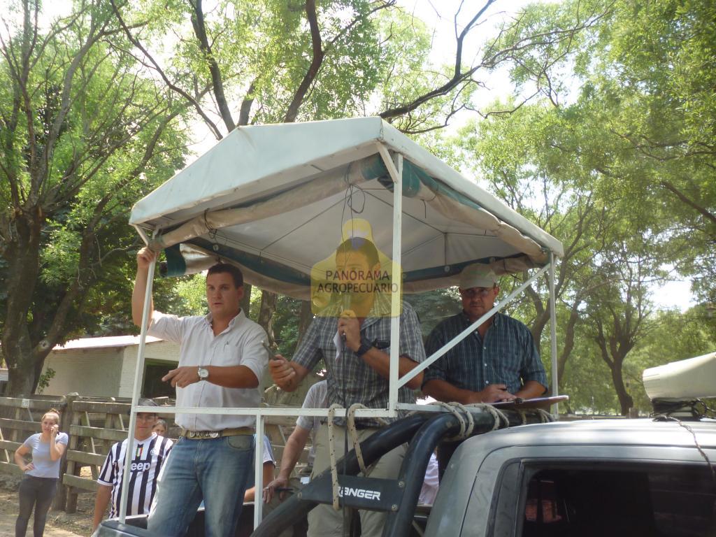 Néstor I. Goenaga y Cía 