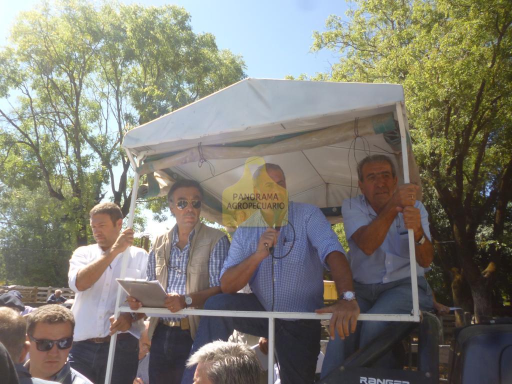 Néstor I. Goenaga y Cía y Ganadera Azul S.R.L.