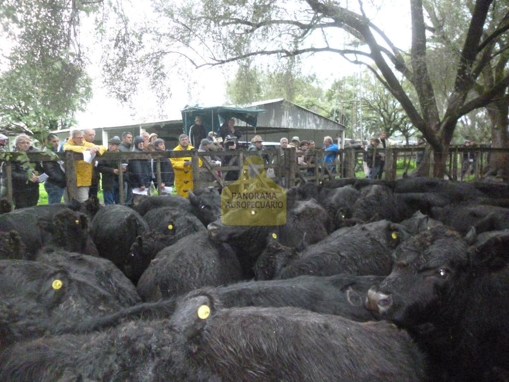 Sivero y Cía S.A.