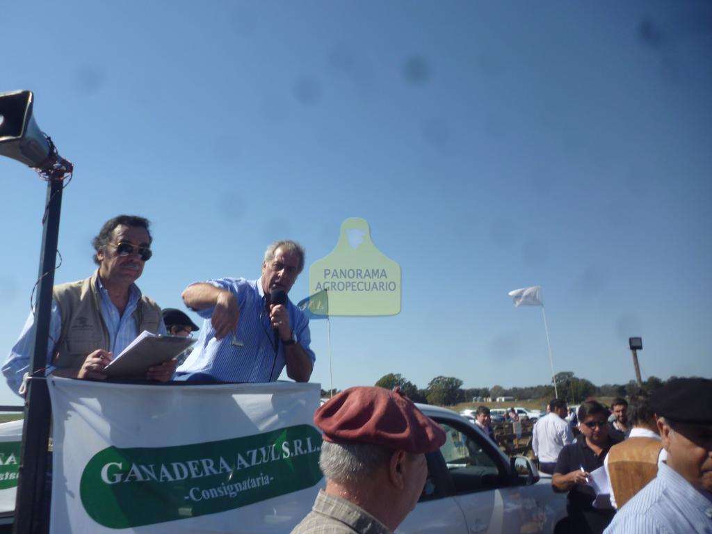 Las Blancas de Delfinagro S.A.