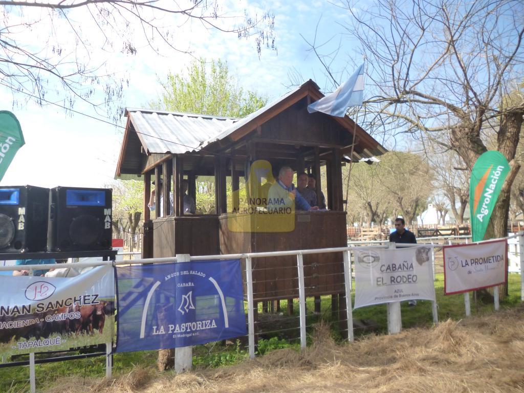El Rodeo y La Pastoriza