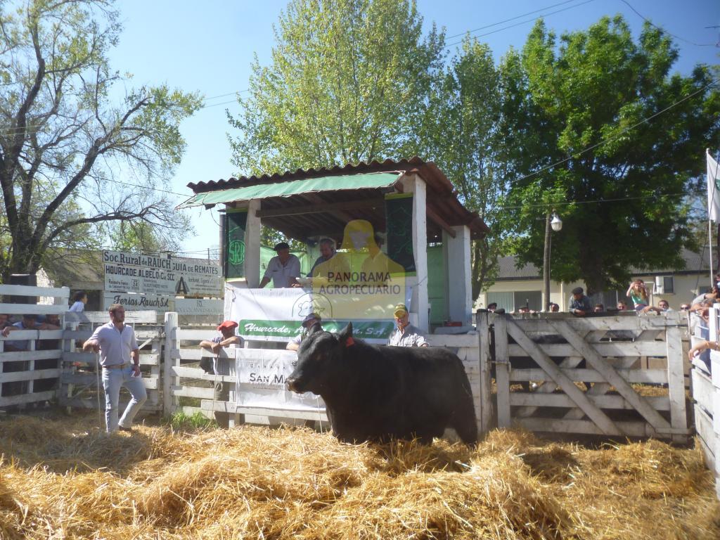 San Manuel de Miquelarena