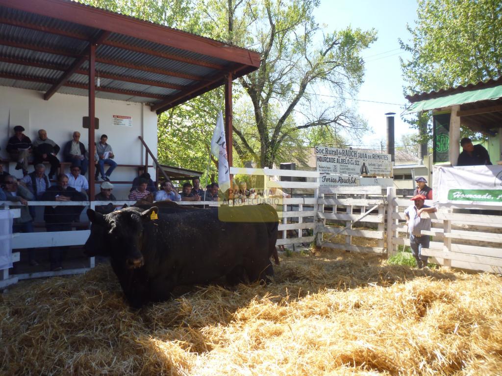 La Isla de Agromedio S.A.