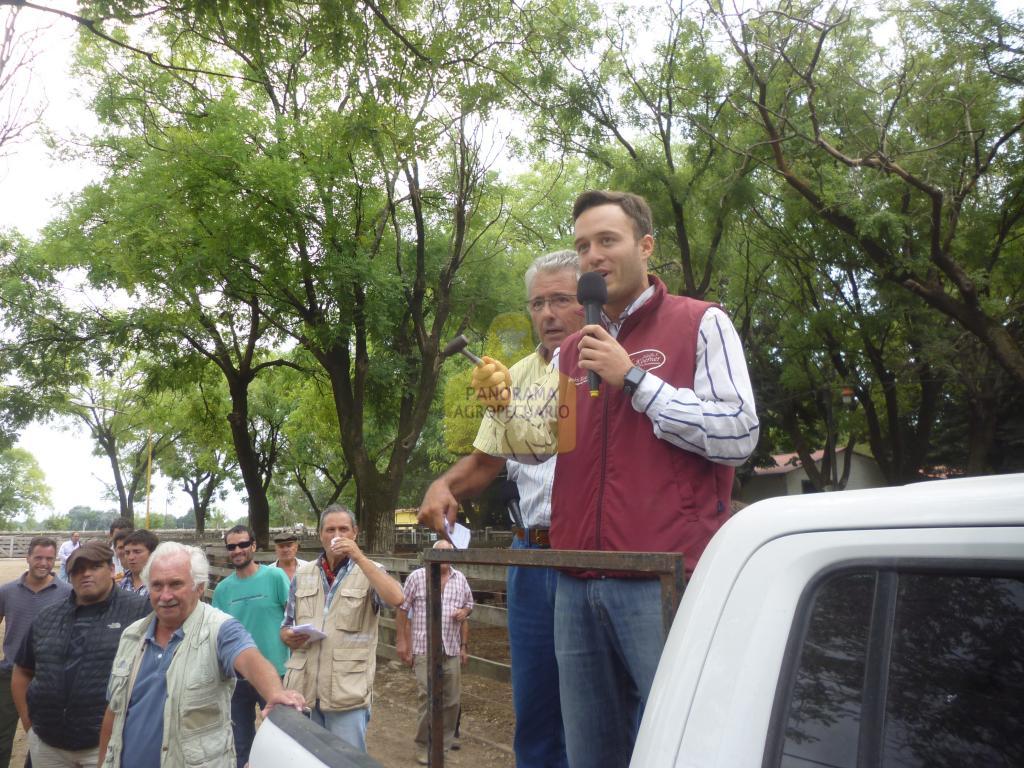 Adolfo S. Koerner y Cía