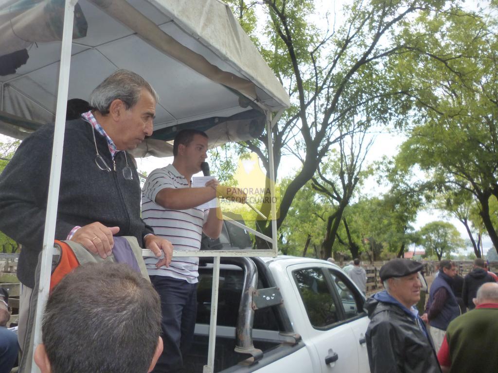 Néstor I. Goenaga y Cía 