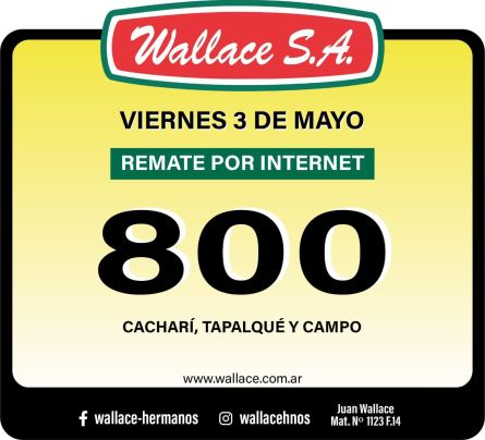 Wallace SA - Internet - Viernes 03 de mayo