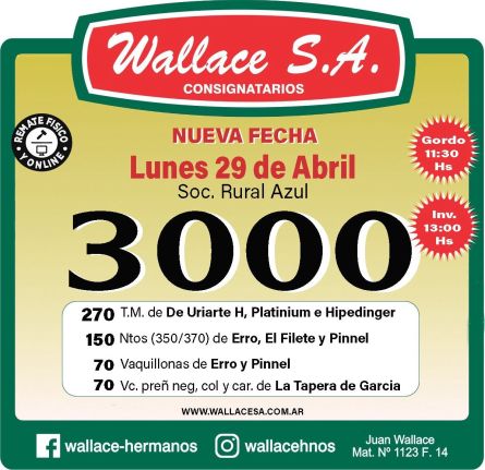 Wallace SA - Azul - Miercoles 24 de Abril