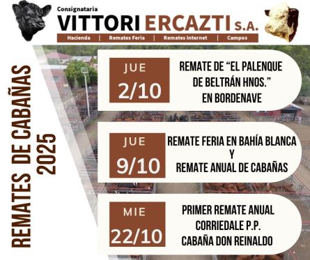 Vittori Ercazti -   - 