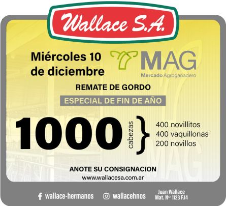 Wallace SA -  - Miercoles 10 de Diciembre