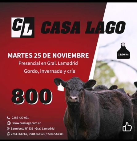 Casa Lago - Lamadrid - Martes 25 de Noviembre