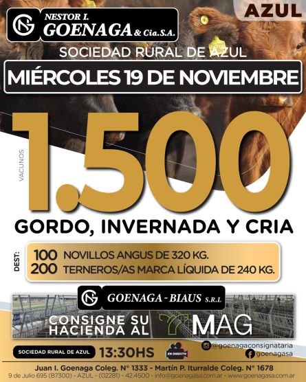 Nestor I Goenaga - Azul - Miercoles 05 de Noviembre