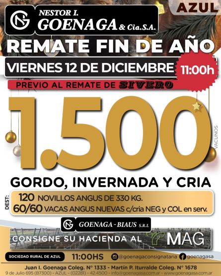 Nestor I Goenaga - Azul - Viernes 12 de Diciembre