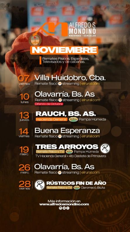 Alfredo S Mondino -   - 