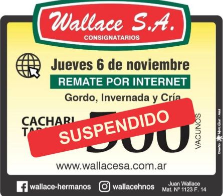 Wallace sa - Cachari - Jueves 06 de Noviembre