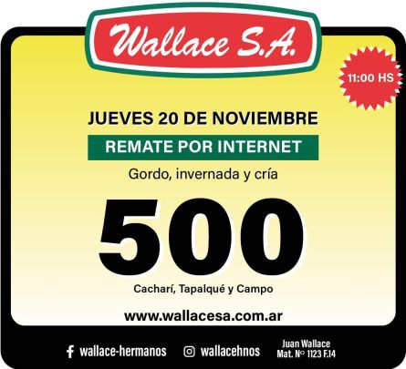 Wallace - Internet - Jueves 20 de Noviembre